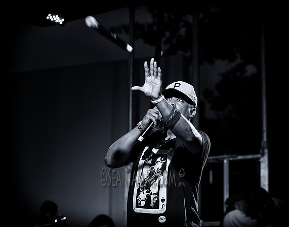 Chuck D - Afropunk Festival - Commodore Barry Park - BK USA - 20