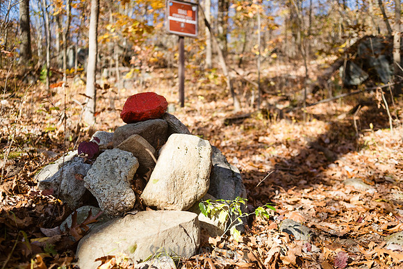 Adventure Day - Ramapo Mountain State Park - NJ - 2020