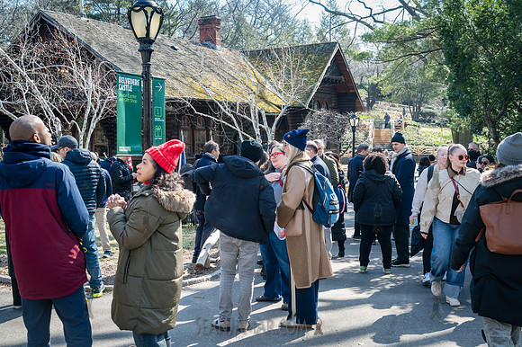 Swedish Marionette Theatre - Groundbreaking - Swedish Cottage  -