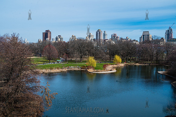 Central Park - NYC - 2026