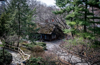 Central Park - NYC - 2026