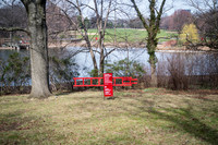 Central Park - NYC - 2026