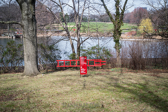 Central Park - NYC - 2026