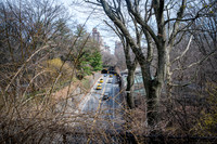 Central Park - NYC - 2026
