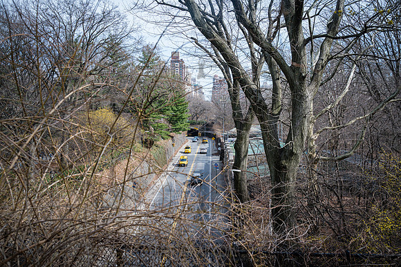 Central Park - NYC - 2026
