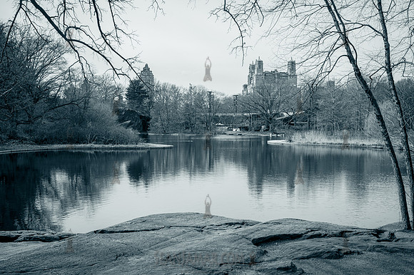 Central Park - NYC - 2026
