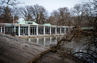 Central Park - NYC - 2026