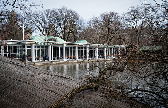 Central Park - NYC - 2026