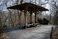 Central Park - NYC - 2026