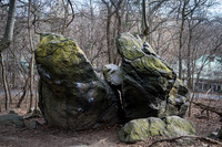 Central Park - NYC - 2026