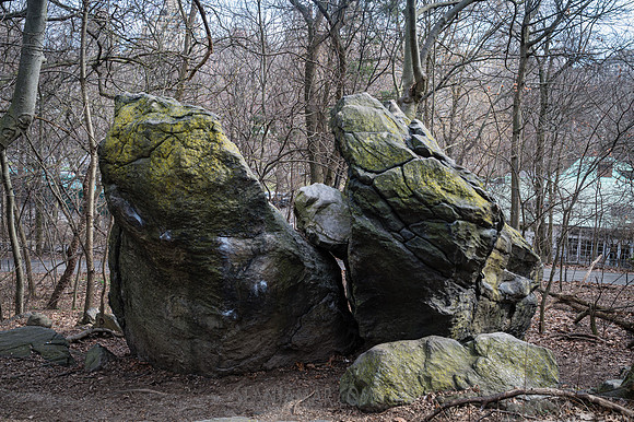 Central Park - NYC - 2026