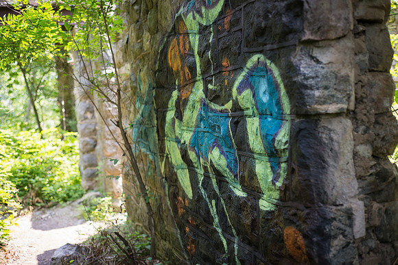 Adventure Day - Ramapo Mountain State Forest - Oakland NJ - 2015