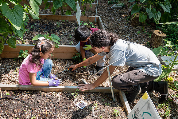 CPF Learning Gardens - Abib Newborn - NYC -2025