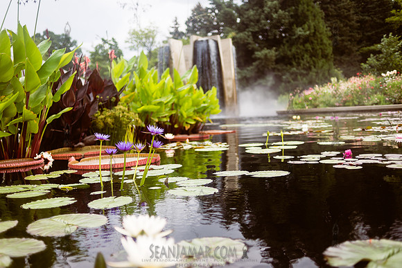 Adventure Day Colorado - Denver Botanical Garden - Denver Co - 2018