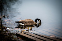 Watchung Reservation - NJ - 2026