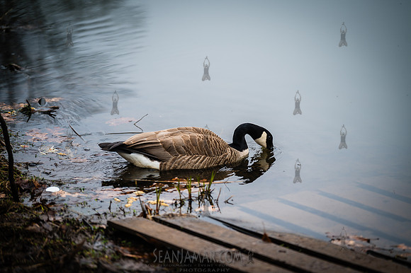 Watchung Reservation - NJ - 2026
