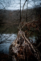 Watchung Reservation - NJ - 2026