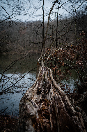 Watchung Reservation - NJ - 2026