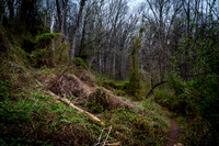 Watchung Reservation - NJ - 2026