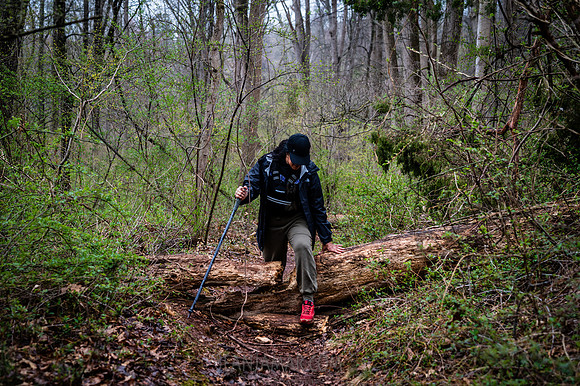 Watchung Reservation - NJ - 2026