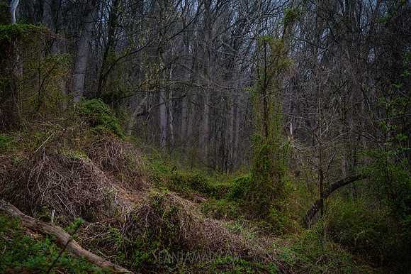 Watchung Reservation - NJ - 2026