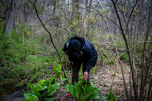 Watchung Reservation - NJ - 2026