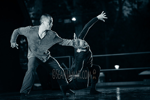 YY Dance Company - Rumsey Playfield - NYC - 2017