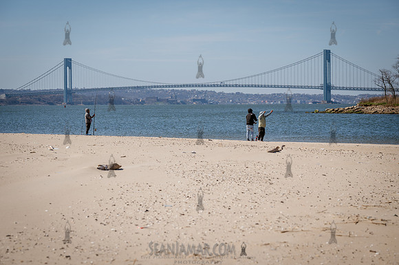 CPF Catalyst - Pamela Pettyjohn - Coney Island Beautification Pr