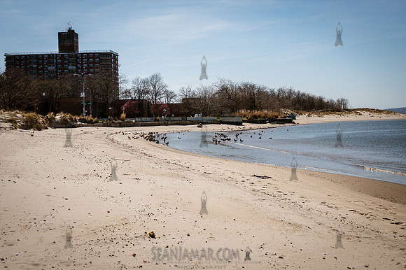 CPF Catalyst - Pamela Pettyjohn - Coney Island Beautification Pr