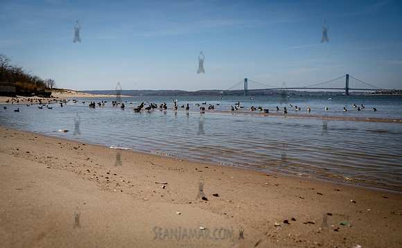 CPF Catalyst - Pamela Pettyjohn - Coney Island Beautification Pr