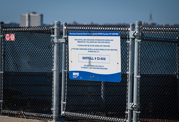 CPF Catalyst - Pamela Pettyjohn - Coney Island Beautification Pr