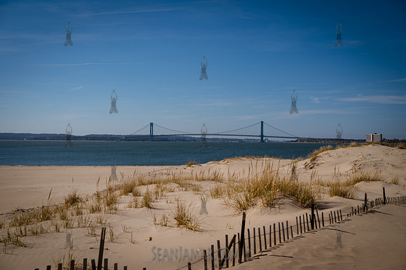 CPF Catalyst - Pamela Pettyjohn - Coney Island Beautification Pr