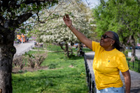 CPF Catalyst - Renea Bush - The Friends of Aquaduct Walk - Old C