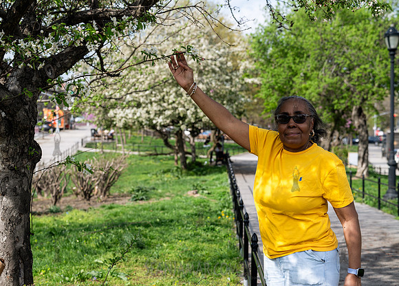 CPF Catalyst - Renea Bush - The Friends of Aquaduct Walk - Old C