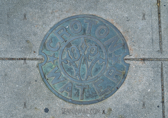 CPF Catalyst - Renea Bush - The Friends of Aquaduct Walk - Old C