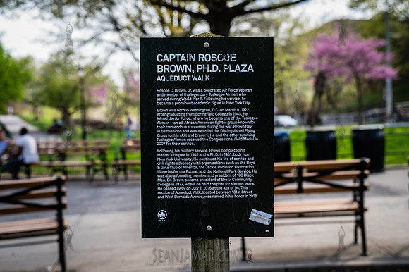 CPF Catalyst - Renea Bush - The Friends of Aquaduct Walk - Old C
