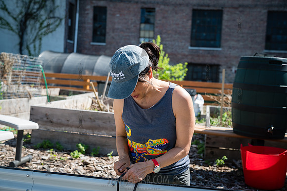CPF Board Service Day - Abib Newborn Learning Garden - NYC - 202