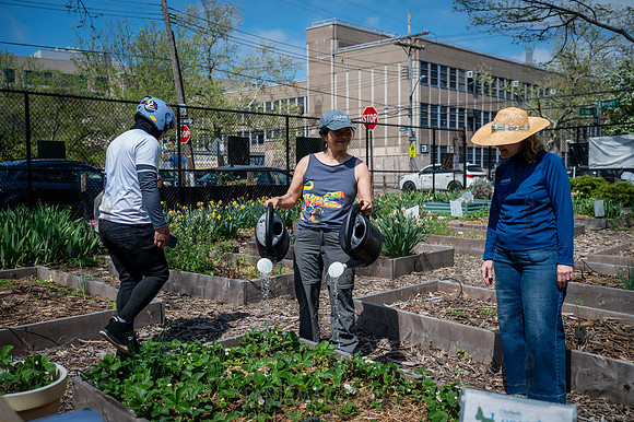 CPF Board Service Day - Abib Newborn Learning Garden - NYC - 202
