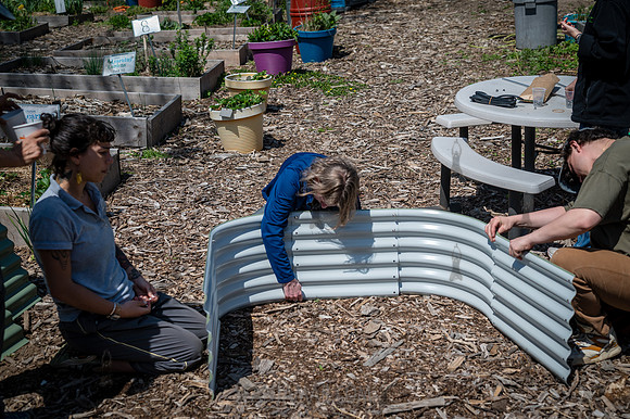 CPF Board Service Day - Abib Newborn Learning Garden - NYC - 202