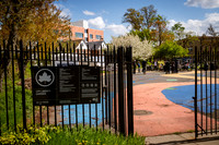 CPF Learning Garden - The Bee Conservancy - Liberty Learning Gar