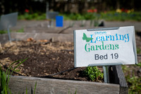 CPF Learning Garden - The Bee Conservancy - Liberty Learning Gar