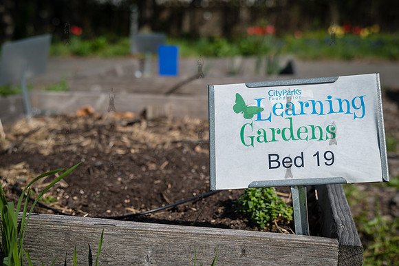 CPF Learning Garden - The Bee Conservancy - Liberty Learning Gar