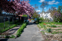 CPF Learning Garden - The Bee Conservancy - Liberty Learning Gar