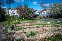 CPF Learning Garden - The Bee Conservancy - Liberty Learning Gar