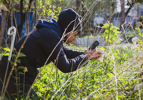 CPF Learning Garden - The Bee Conservancy - Liberty Learning Gar