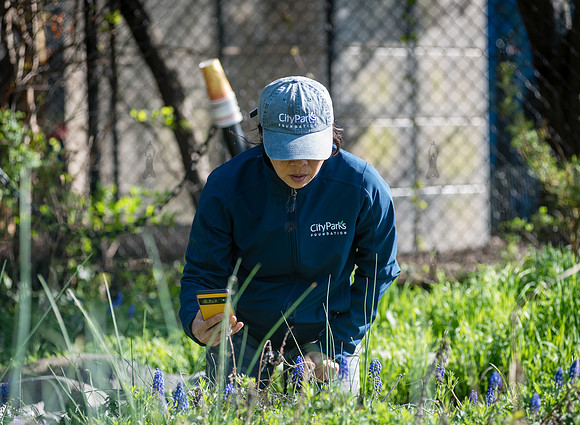 CPF Learning Garden - The Bee Conservancy - Liberty Learning Gar
