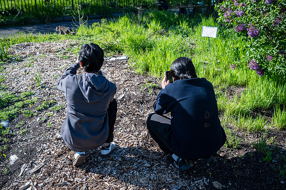 CPF Learning Garden - The Bee Conservancy - Liberty Learning Gar