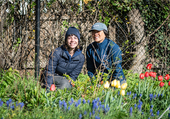 CPF Learning Garden - The Bee Conservancy - Liberty Learning Gar