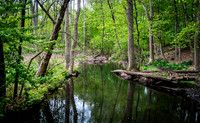 Adventure Day - Clifton NJ - 2026