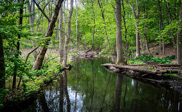 Adventure Day - Clifton NJ - 2026